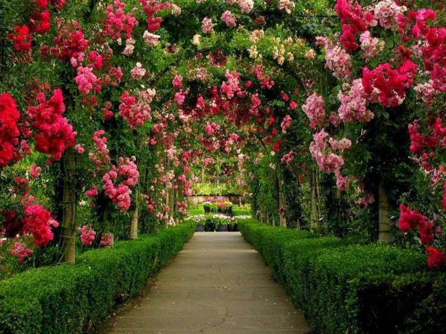 What a wonderful world: 13 fabulous gardens